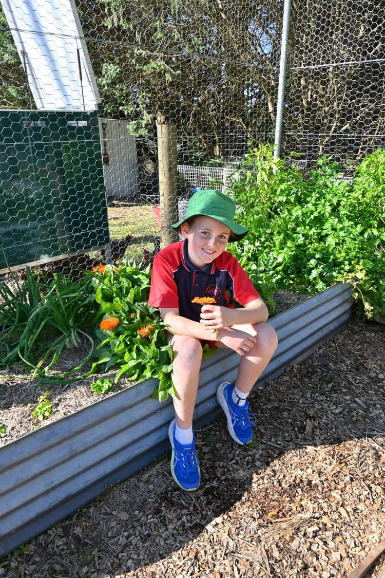 A primary school student wearing a green sunhat and red school shirt sits on the edge of a raised garden bed, smiling and holding an orange flower, surrounded by leafy green plants.