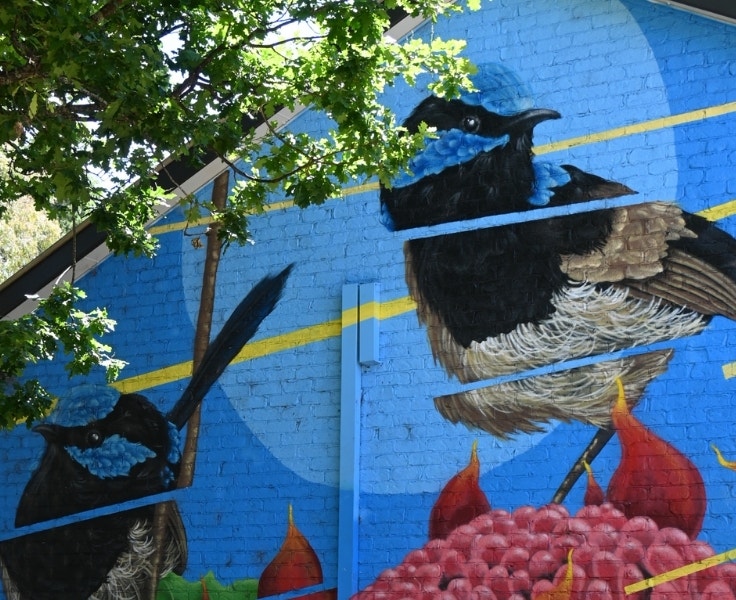 Colorful mural of two blue and black fairywrens painted on a brick school wall, partially shaded by green tree branches. The artwork features bold shapes and native flora.